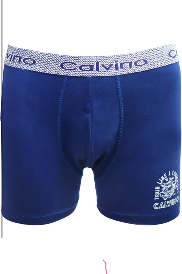 Boxer  :Model 5019 (3قطع) - Image 5