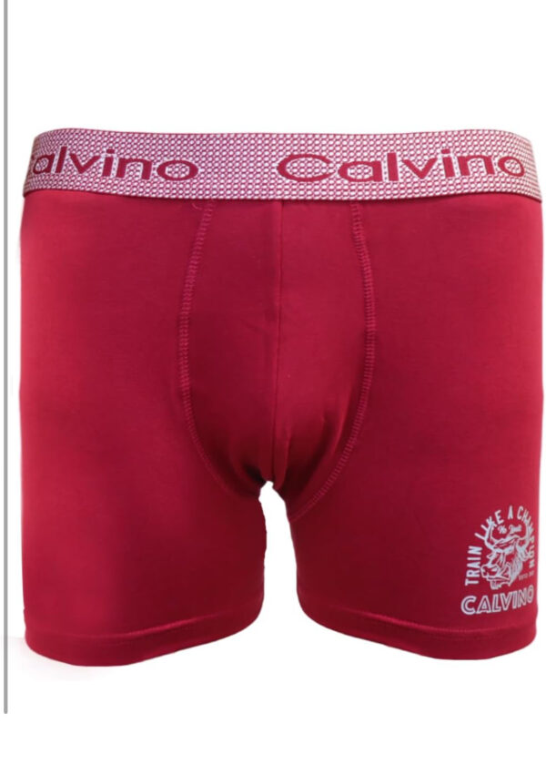 Boxer  :Model 5019 (3قطع) - Image 3